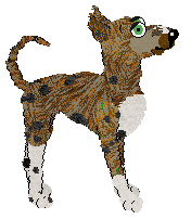 Krunchez/Tangled's Second Best Snout in the Army — “Wenwen”