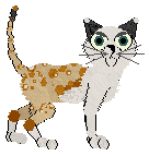 Profile image of Starfrost/Tangled's Ravens Not