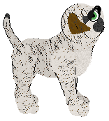 Cargo/PH's Born This Way — “Lady Gaga”