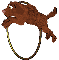 TWM's Guns and Petticoat — “Ruthie”