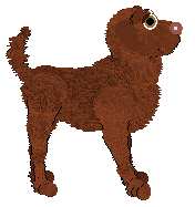 Profile image of TWM's Guns and Petticoat