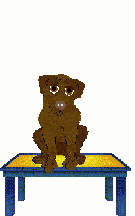 TWM's Pause It, Play It — “Toast”