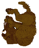 TWM's Pause It, Play It — “Toast”