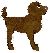 TWM's Pause It, Play It — “Toast”