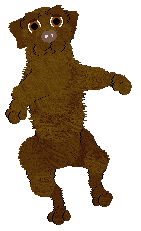 TWM's Pause It, Play It — “Toast”