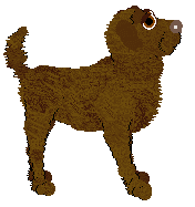 TWM's Pause It, Play It — “Toast”