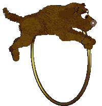 TWM's Pause It, Play It — “Toast”