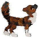 Profile image of SeaGlass's Knockoff Mustelid