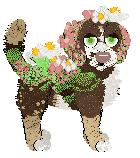 Xoops' Walking In The Orchard at Wild Road — “Orchard”