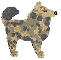 Profile image of Wild Road's Mountain Lifestyle