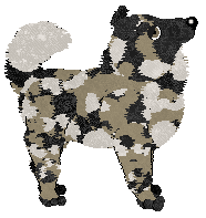 Wild Road's Sterling Silver — “Sterling”