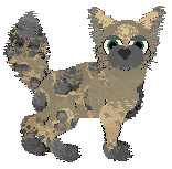 Insanity's Vindicated at Wild Road — “Vinny”