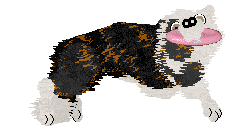 Come Bye's Terrible Truth Or Beautiful Lie — “Rynn”