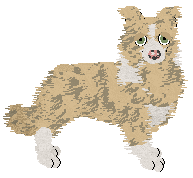 Profile image of Ferality's Winners Dinner at Come Bye