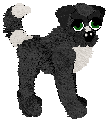 EC's Night of the Stormrider — “Nightrider”