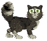 Profile image of Perfume/FDL's You Only Live Once... Or 9 Times