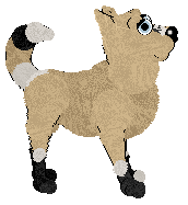 Billywix/King's Rainy Day Blues — “Downcast”