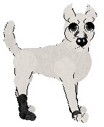 Medusa/King's Well Wishes — “Johnny”