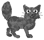 Cirrutopia's Misty Morning — “Noira”