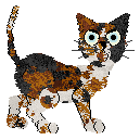 Cirrutopia's Falling Apart at Mythic Silence — “Breakdown”