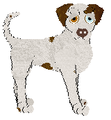 Profile image of Sz's Roquefort