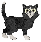 NIGHTMOON's Radio Hardcore at Kamome — “Raver”