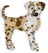 Profile image of Sz's Bit My Finger