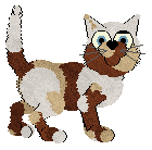 Profile image of NSP's Biological Agent at Wild Road