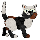 Profile image of Cargo's Feel Good From The Feet Up at Wild Road