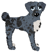 Alohomora's Sabayon at Wild Road — “Sabayon”