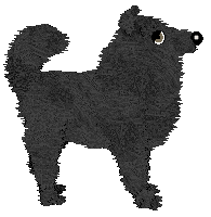 Profile image of Wild Road's God of Death