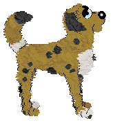 Profile image of Medusa's Splish and Splash at Wild Road