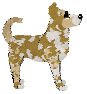 Profile image of Wild Road's Tinatin