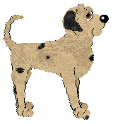 Sz/Audaxity's What Kind of Shape Is an Algon — “Algon”