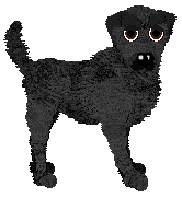 Cargo's Kentucky Oak Bourbon — “Bourbon”