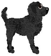 Cargo's Kentucky Oak Bourbon — “Bourbon”