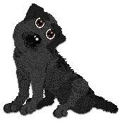 Profile image of Cargo's Kentucky Oak Bourbon