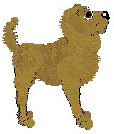 Cargo's Sun-Drenched Citrus — “Citron”