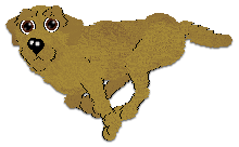 Profile image of Cargo's Sun-Drenched Citrus