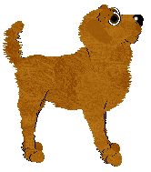 Cargo's Coral Kiss — “Coral”