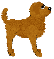 Cargo's Coral Kiss — “Coral”