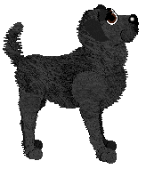 Cargo's Sweet Oakmoss — “Oak”