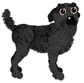 Profile image of Cargo's Sweet Oakmoss