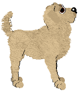 Cargo's Whipped Vanilla Cream — “Vanilla Bean”