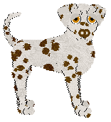 Alohomora/Cargo's Mint Chocolate — “Mint Chocolate”