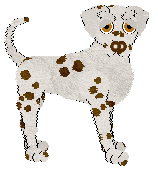 Cargo's Mint Imperial — “Gingermint”