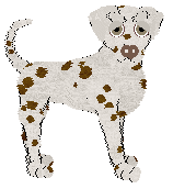 Cargo's Bending Light — “Prism”