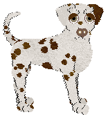 Cargo's Fountain Green — “Arlo”