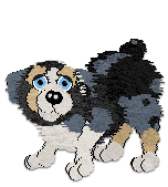 Profile image of Cargo's Color of Heaven