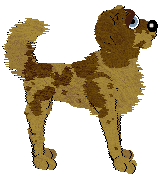 Spellbound/FDL's 21 Shillings — “Guinea”